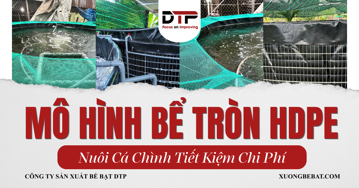 Mô Hình Bể Tròn HDPE Nuôi Cá Chình Tại Đồng Nai – Tiết Kiệm Chi Phí Nhờ Tự Làm Khung